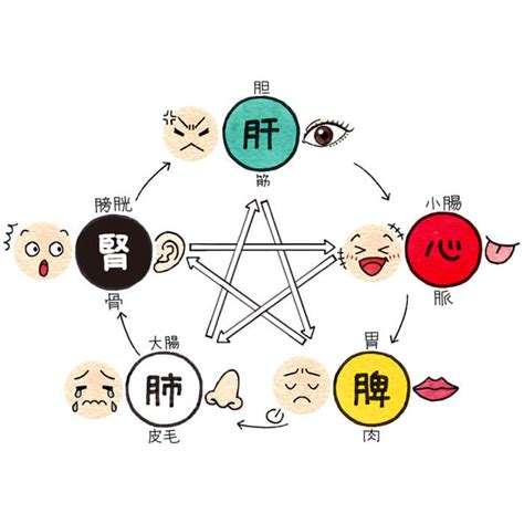 水剋火 意味|第28回 五行学説の中医学への応用 （2）五行と人体。